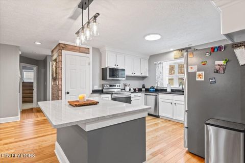 Tiny photo for 125 Denise Drive, Speedwell, TN 37870 (MLS # 1330825)