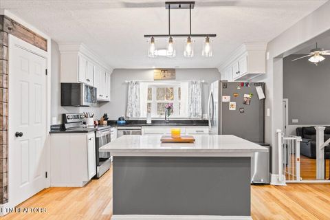 Tiny photo for 125 Denise Drive, Speedwell, TN 37870 (MLS # 1330825)