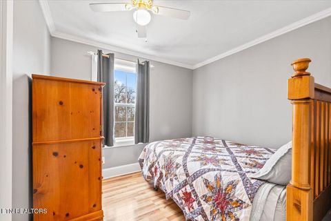 Tiny photo for 125 Denise Drive, Speedwell, TN 37870 (MLS # 1330825)