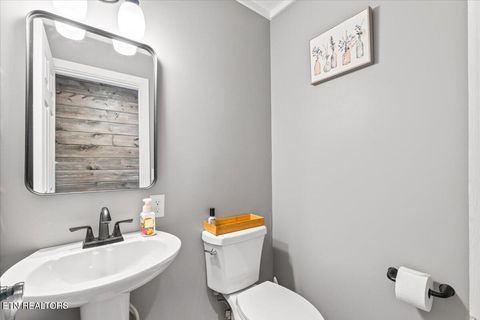 Tiny photo for 125 Denise Drive, Speedwell, TN 37870 (MLS # 1330825)