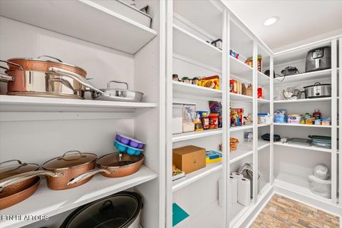 Tiny photo for 125 Denise Drive, Speedwell, TN 37870 (MLS # 1330825)