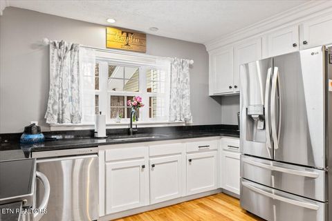 Tiny photo for 125 Denise Drive, Speedwell, TN 37870 (MLS # 1330825)