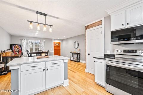 Tiny photo for 125 Denise Drive, Speedwell, TN 37870 (MLS # 1330825)