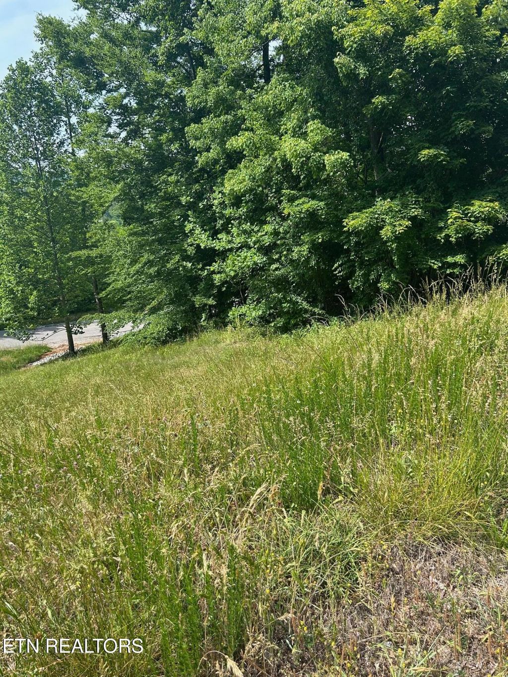 Photo of 214 Suncrest Cove, LaFollette, TN 37766 (MLS # 1341369)