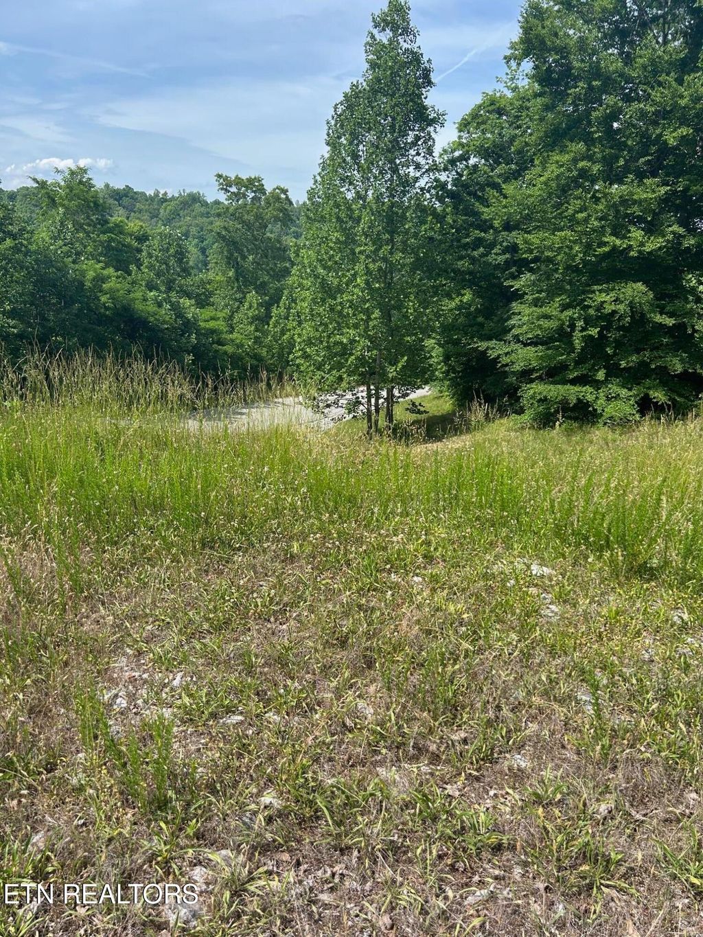 Photo of 214 Suncrest Cove, LaFollette, TN 37766 (MLS # 1341369)