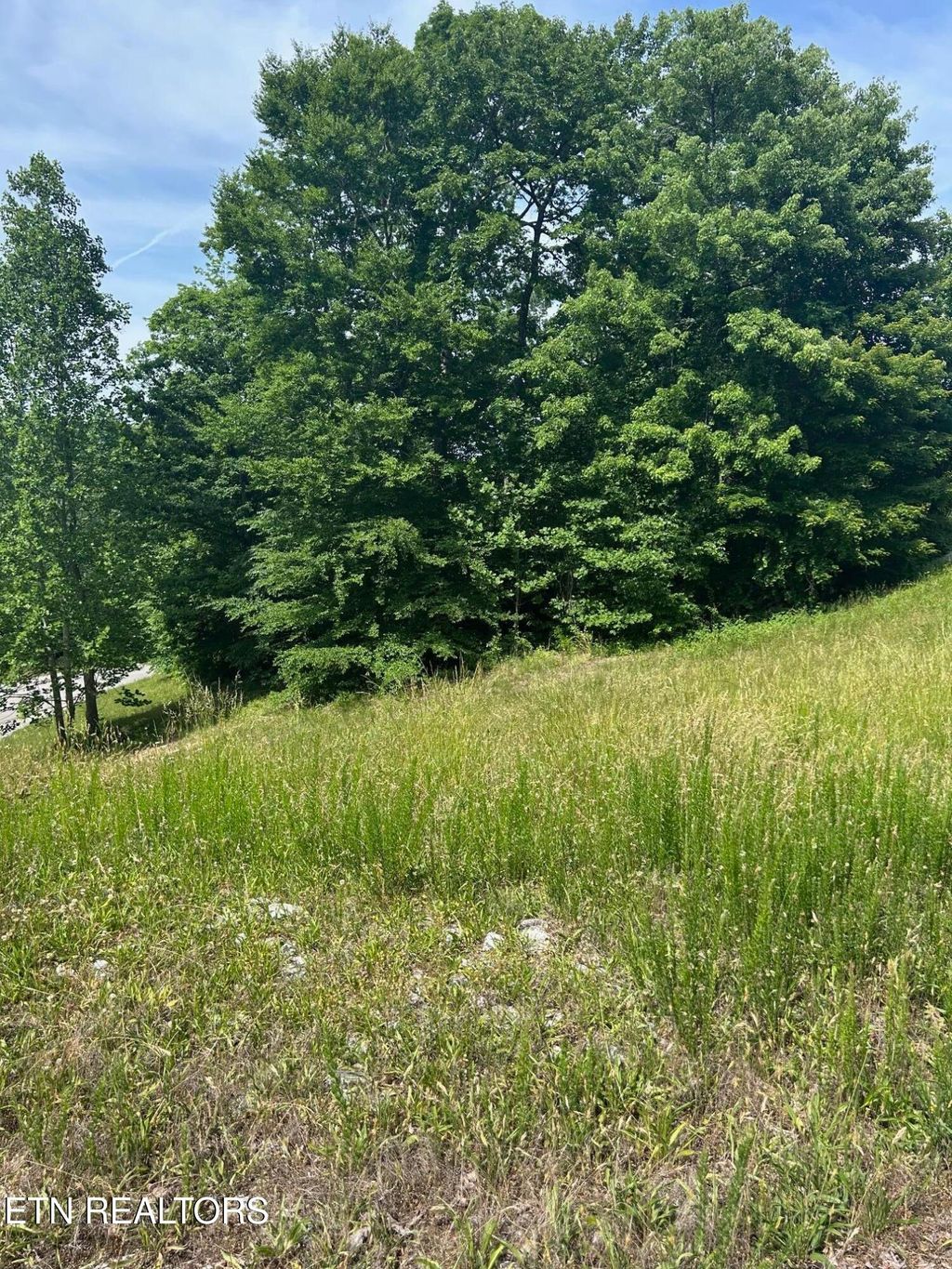 Photo of 214 Suncrest Cove, LaFollette, TN 37766 (MLS # 1341369)
