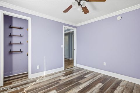 Tiny photo for 391 County Road 360, Niota, TN 37826 (MLS # 1326036)