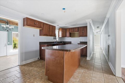 Tiny photo for 391 County Road 360, Niota, TN 37826 (MLS # 1326036)