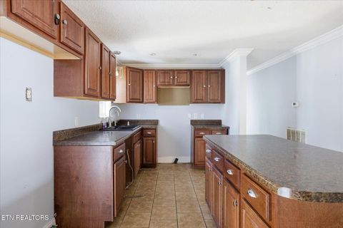 Tiny photo for 391 County Road 360, Niota, TN 37826 (MLS # 1326036)