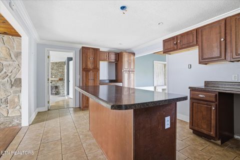 Tiny photo for 391 County Road 360, Niota, TN 37826 (MLS # 1326036)