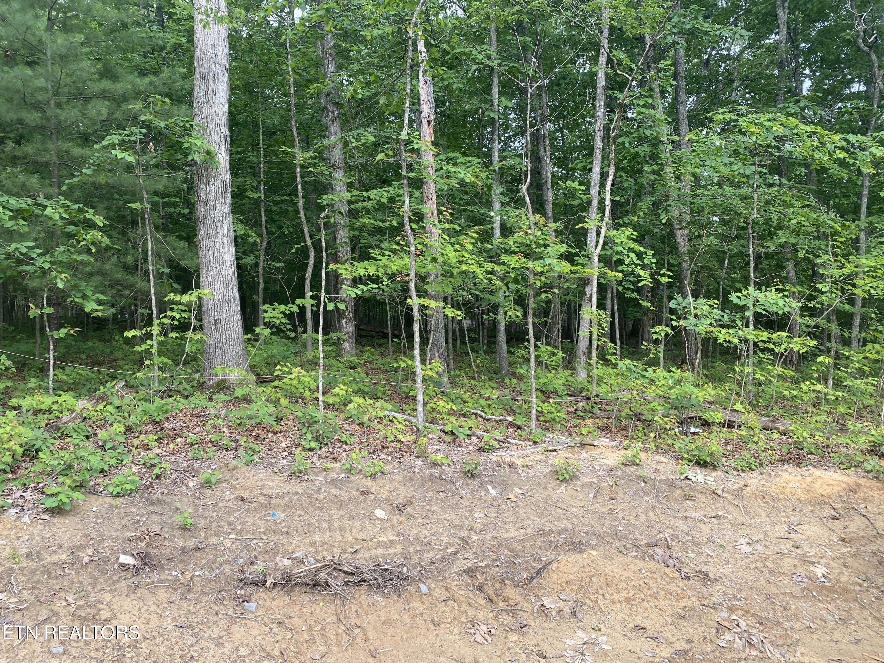 233 Albemarle Circle
