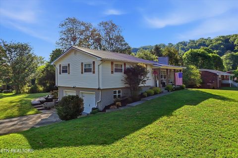 Tiny photo for 6424 Oleary Rd, Knoxville, TN 37918 (MLS # 1338229)