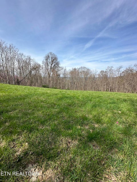 Tiny photo for Bob Wright Rd #Lot 41, Maynardville, TN 37807 (MLS # 1346757)