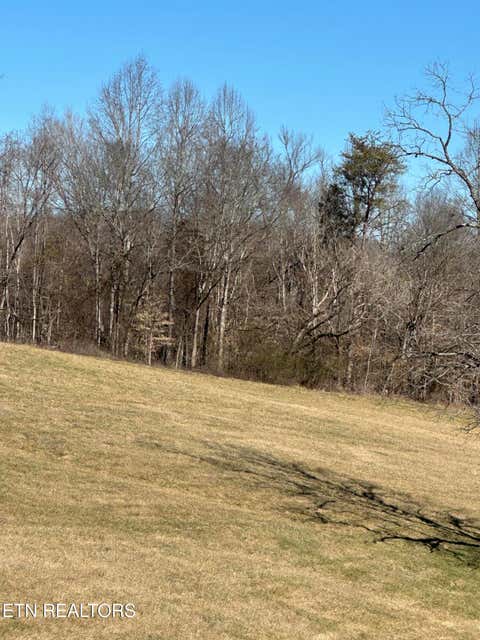 Tiny photo for Bob Wright Rd #Lot 41, Maynardville, TN 37807 (MLS # 1346757)