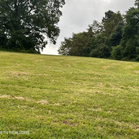 Tiny photo for Bob Wright Rd #Lot 41, Maynardville, TN 37807 (MLS # 1346757)