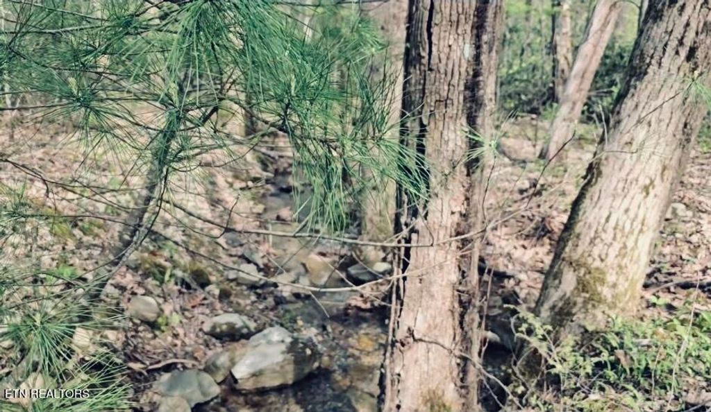 Photo of 4046 Forest Trail Drive, Sevierville, TN 37876 (MLS # 1335846)