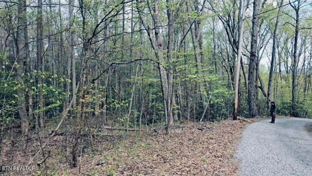 Photo of 4046 Forest Trail Drive, Sevierville, TN 37876 (MLS # 1335846)