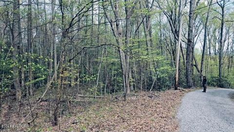 Photo of 4046 Forest Trail Drive, Sevierville, TN 37876 (MLS # 1335846)