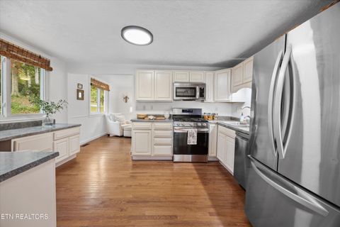 Tiny photo for 129 W Norris Rd, Norris, TN 37828 (MLS # 1330333)