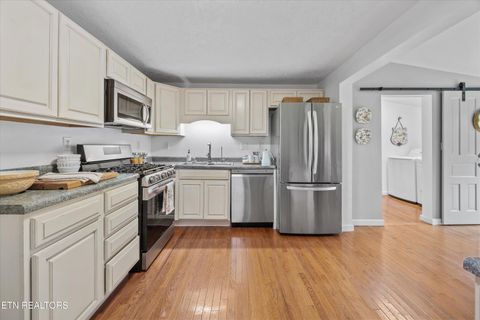 Tiny photo for 129 W Norris Rd, Norris, TN 37828 (MLS # 1330333)