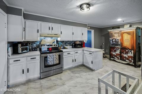 Tiny photo for 611 W 6th Ave, Lenoir City, TN 37771 (MLS # 1341456)