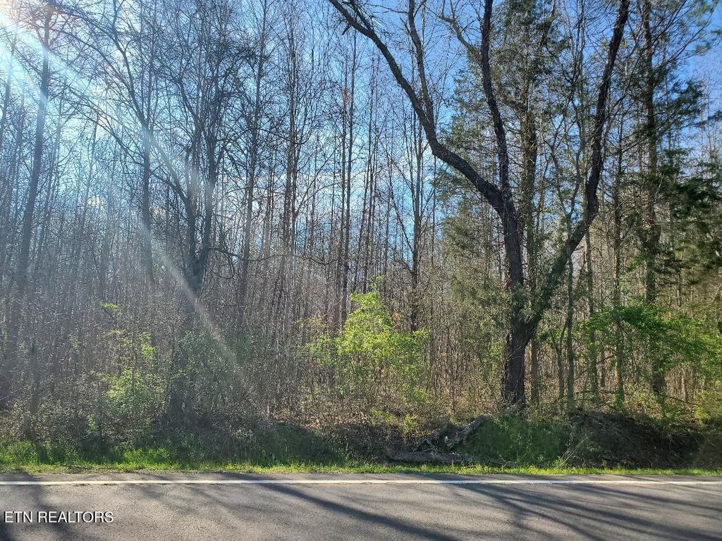 Photo of 7 Highway 304, Decatur, TN 37322 (MLS # 1294734)