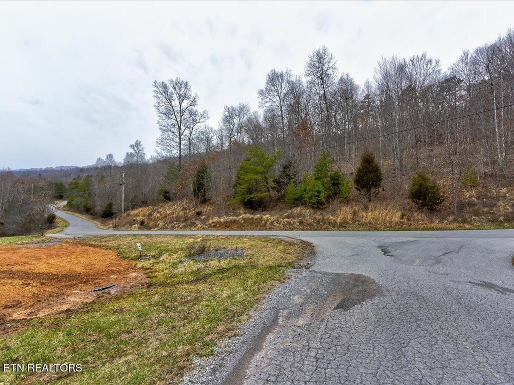 Photo of 535 Whistle Valley Rd, New Tazewell, TN 37825 (MLS # 1252103)