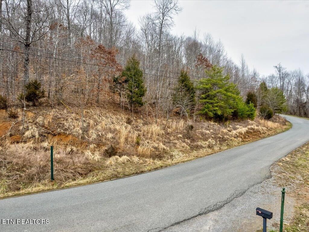 Photo of 535 Whistle Valley Rd, New Tazewell, TN 37825 (MLS # 1252103)