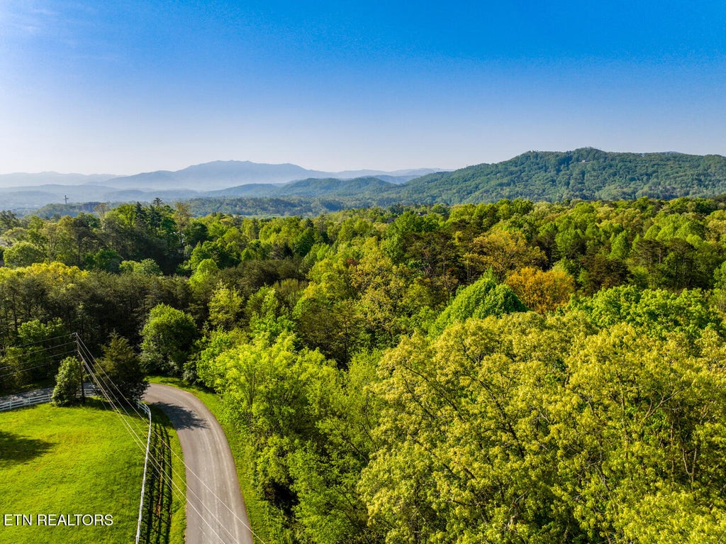 Photo of 1140 Crestview Drive, Pigeon Forge, TN 37863 (MLS # 1355232)