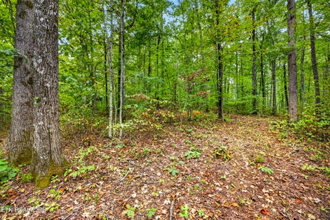Tiny photo for 21 22 Colepin Lane, Celina, TN 38551 (MLS # 1359389)
