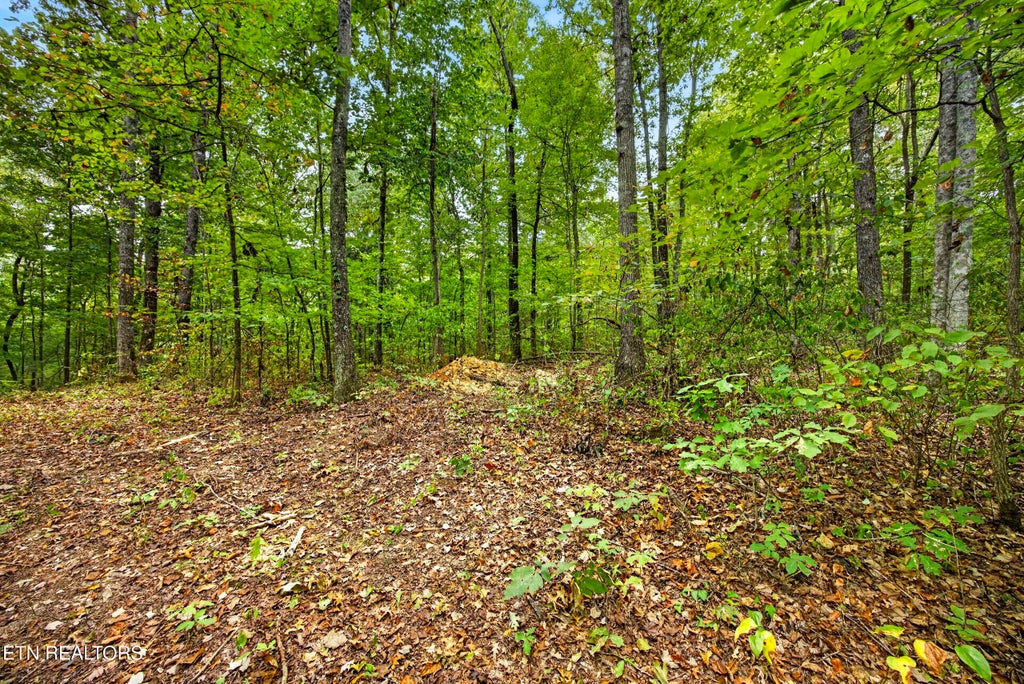 Photo of 21 22 Colepin Lane, Celina, TN 38551 (MLS # 1359389)