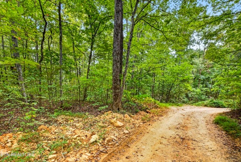 Tiny photo for 21 22 Colepin Lane, Celina, TN 38551 (MLS # 1359389)