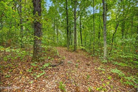 Tiny photo for 21 22 Colepin Lane, Celina, TN 38551 (MLS # 1359389)