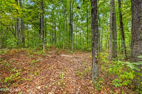 Photo of 21 22 Colepin Lane, Celina, TN 38551 (MLS # 1359389)