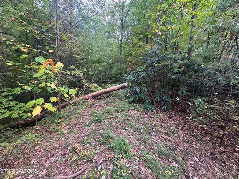 Tiny photo for 27 Pinnacle Vista Rd, Gatlinburg, TN 37738 (MLS # 1316944)