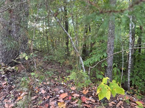 Tiny photo for 27 Pinnacle Vista Rd, Gatlinburg, TN 37738 (MLS # 1316944)