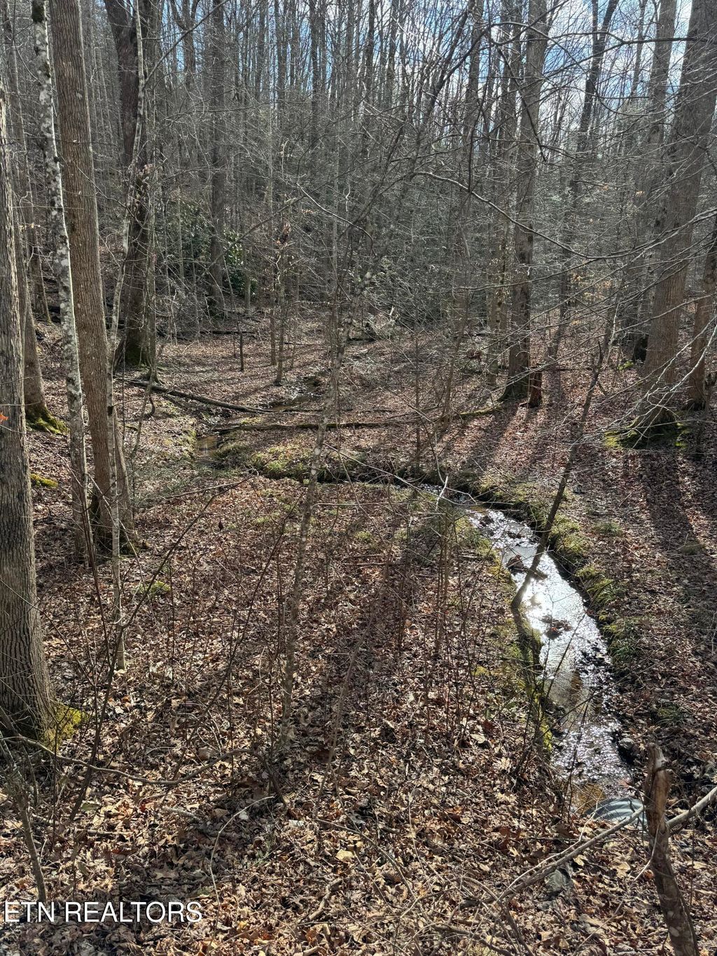 Photo of 27 Pinnacle Vista Rd, Gatlinburg, TN 37738 (MLS # 1316944)