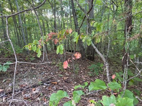 Tiny photo for 27 Pinnacle Vista Rd, Gatlinburg, TN 37738 (MLS # 1316944)