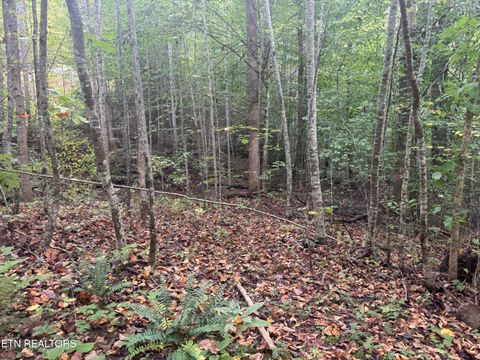 Tiny photo for 27 Pinnacle Vista Rd, Gatlinburg, TN 37738 (MLS # 1316944)