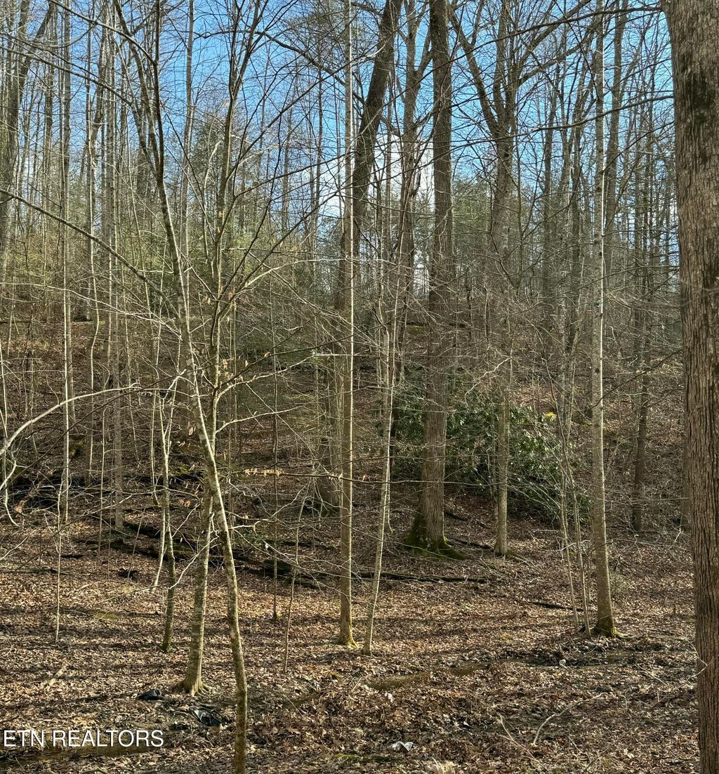 Photo of 27 Pinnacle Vista Rd, Gatlinburg, TN 37738 (MLS # 1316944)