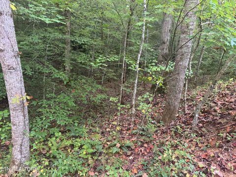 Tiny photo for 27 Pinnacle Vista Rd, Gatlinburg, TN 37738 (MLS # 1316944)
