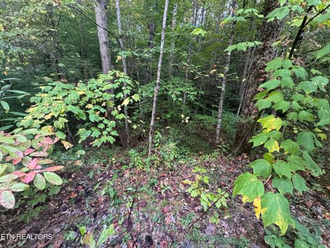 Tiny photo for 27 Pinnacle Vista Rd, Gatlinburg, TN 37738 (MLS # 1316944)