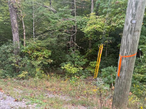 Tiny photo for 27 Pinnacle Vista Rd, Gatlinburg, TN 37738 (MLS # 1316944)