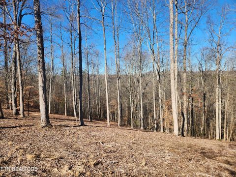 Tiny photo for 52 E Poplar Lane, LaFollette, TN 37766 (MLS # 1326322)