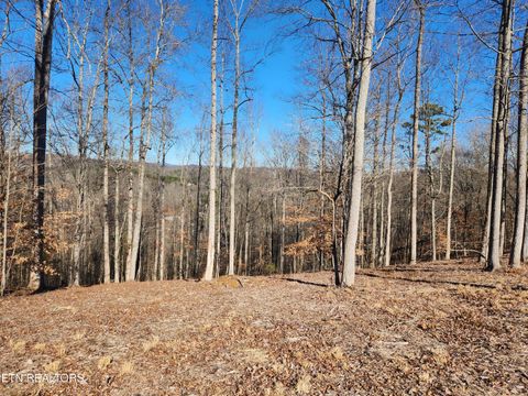 Tiny photo for 52 E Poplar Lane, LaFollette, TN 37766 (MLS # 1326322)