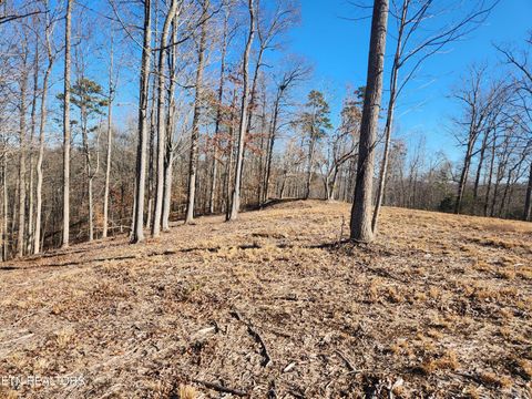 Tiny photo for 52 E Poplar Lane, LaFollette, TN 37766 (MLS # 1326322)
