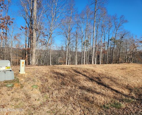 Tiny photo for 52 E Poplar Lane, LaFollette, TN 37766 (MLS # 1326322)