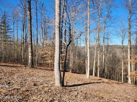 Tiny photo for 52 E Poplar Lane, LaFollette, TN 37766 (MLS # 1326322)