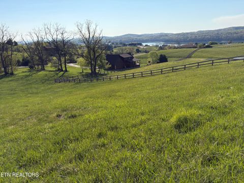 Tiny photo for 86 Swan Song Tr, Sharps Chapel, TN 37866 (MLS # 1336573)