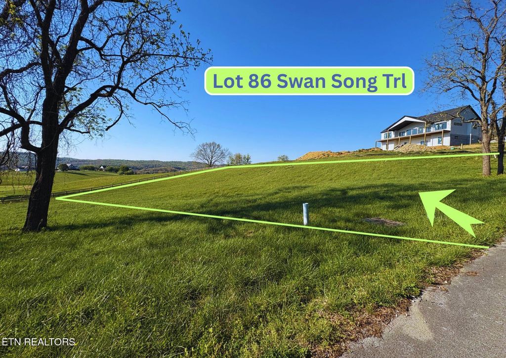 Photo of 86 Swan Song Tr, Sharps Chapel, TN 37866 (MLS # 1336573)